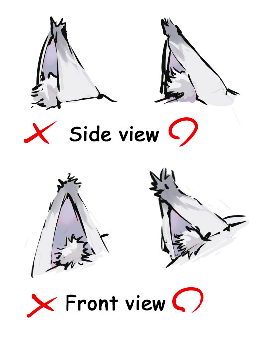 picture Wolf Ears Drawing Side View fluffy how to draw animal ears
